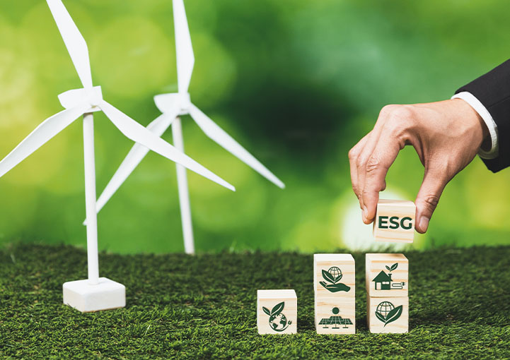 Sustainable Development