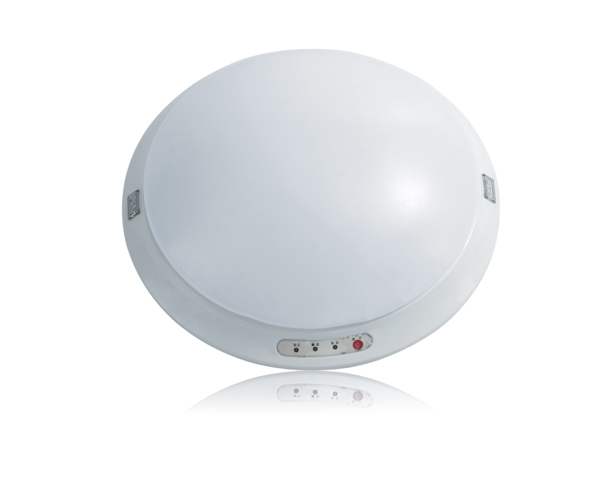 Ceiling Fire Emergency Lighting Luminaire