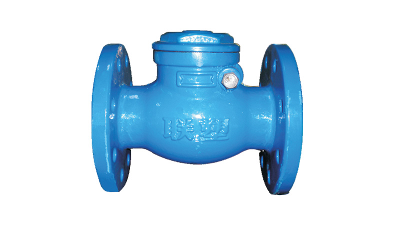 Flange Check Valve