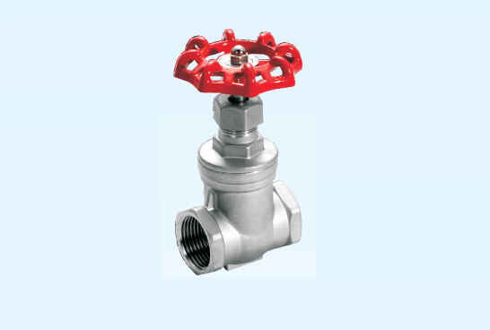 gate valve