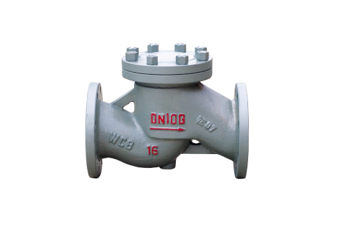Flange Lifting type check valves