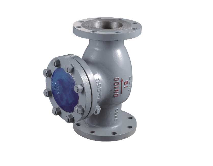 Flange swing type check valves